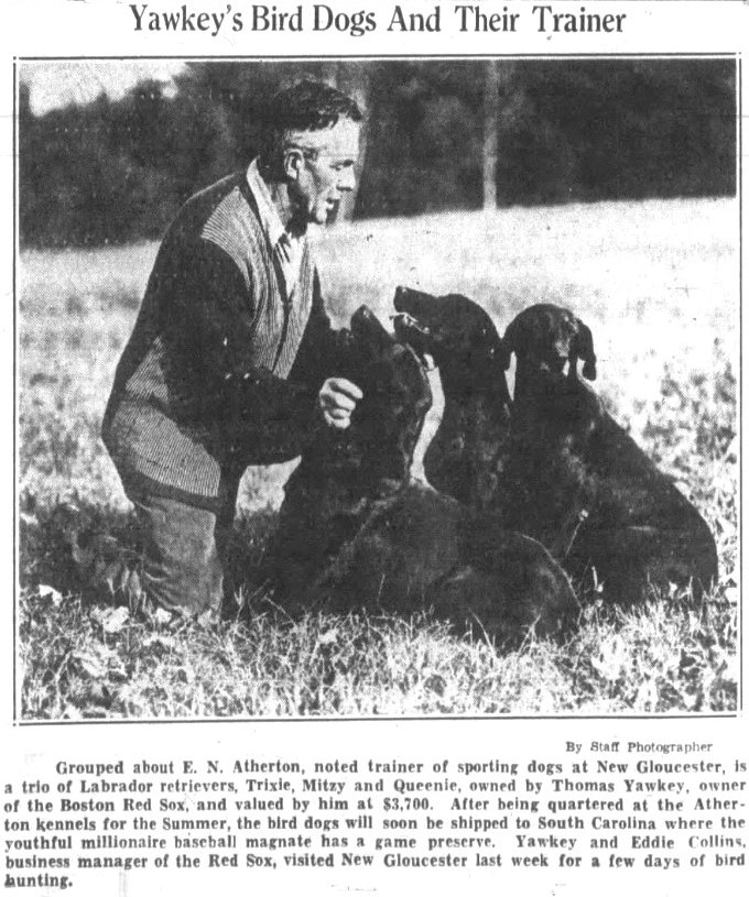 image from Evening Express; Wed, Oct 30, 1935; Page 15